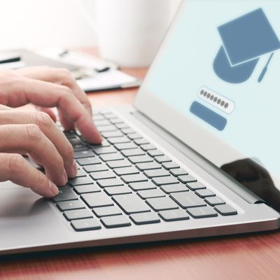 Strong Portfolio & Career Support